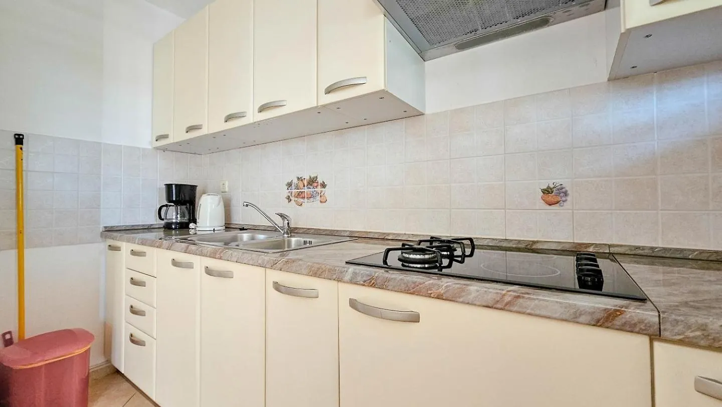 Viola Three Apartment Novigrad