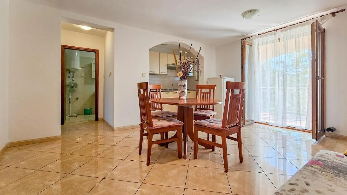 Viola Three Apartment Novigrad  Croatia