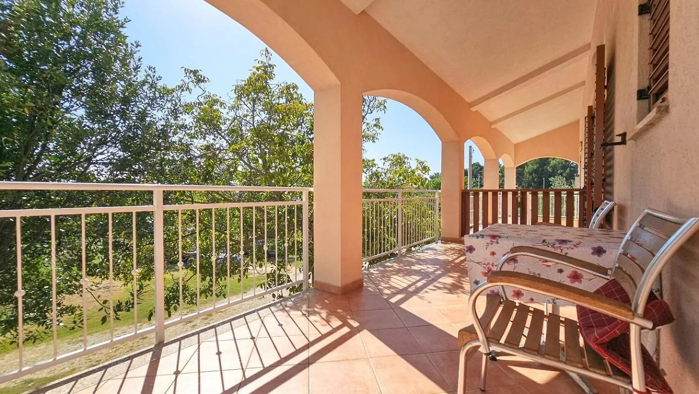 Viola Three Apartment Novigrad