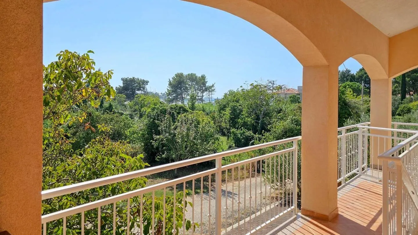 Viola Three Apartment Novigrad