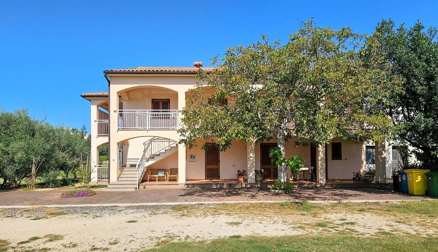 Viola Three Apartment Novigrad  Croatia